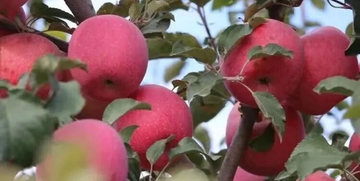 首页- am8亚美集团旗舰厅官网